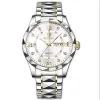 BINBOND 2521 Luxury Brand Luminous Quartz Watch For Men - Silver